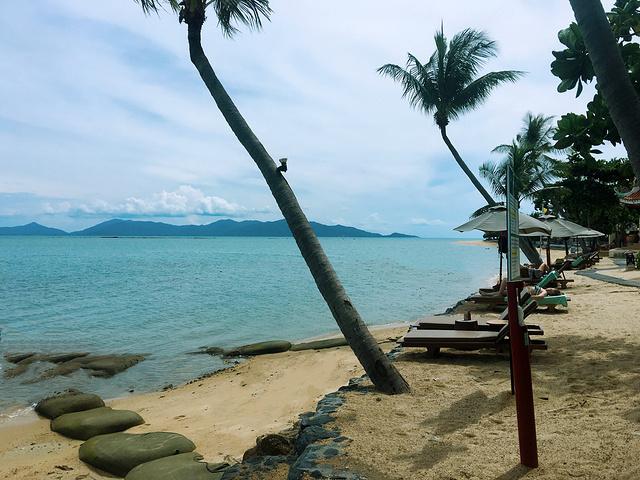 2017哈哈,在当地免税买的雪茄,虽然跟高希霸比