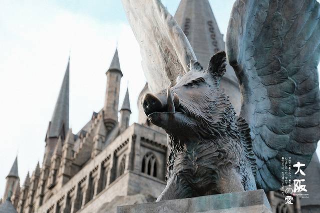 哈利波特的魔法世界