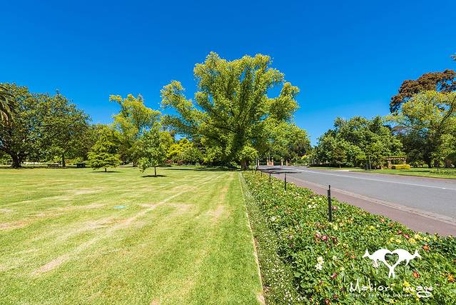 墨尔本皇家植物园