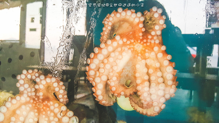 生鱼拌面1万(超级超级好吃)鲍鱼粥1万 看这份量