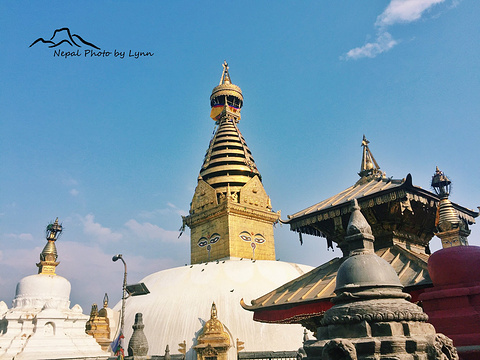 猴庙旅游景点图片