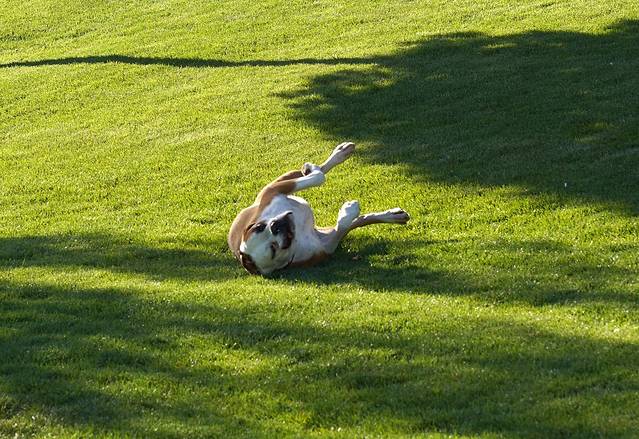 圣马丁主教座堂