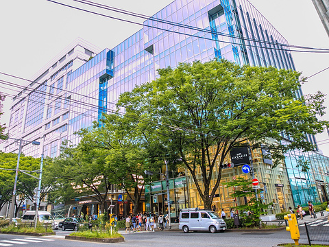 21表参道地铁站 旅游攻略 门票 地址 问答 游记点评 东京旅游旅游景点推荐 去哪儿攻略