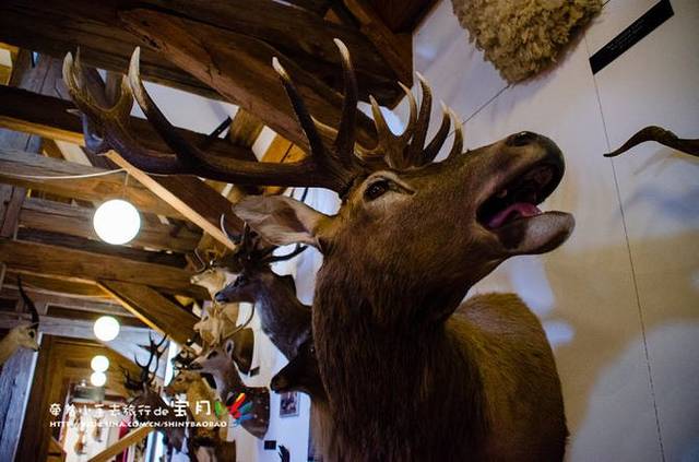 瓦尔德玛斯古堡