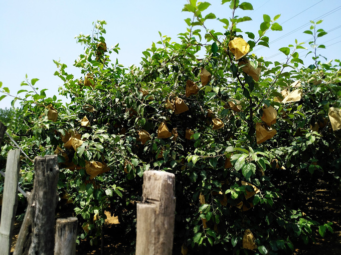 从江苏北上到日照的自驾游(附上我们的路线图