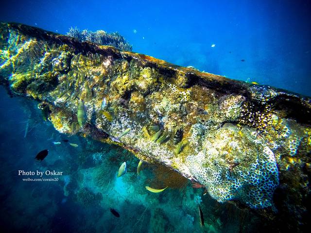 吕宋沉船&东唐盖炮舰