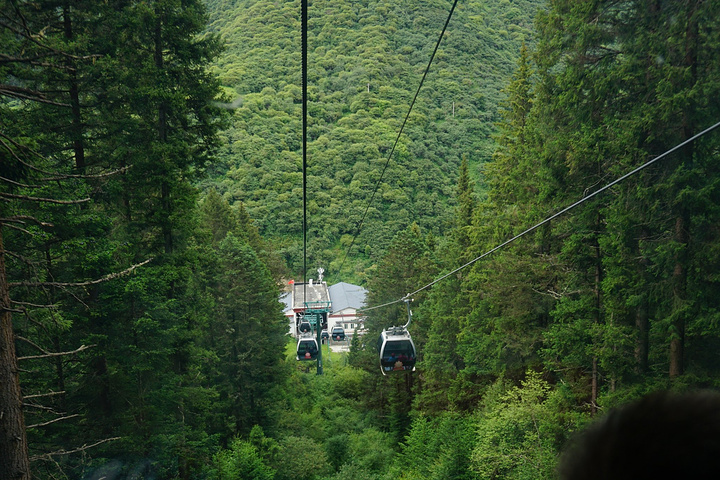 "缆车直达黄龙上部，景色很美，原谅我现在已经没有心情回忆黄龙的景色了_黄龙风景名胜区"的评论图片