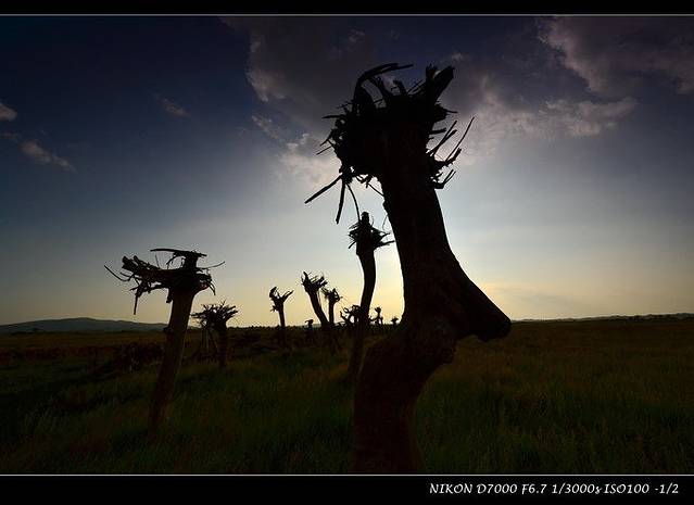 上都湖原生态旅游牧场