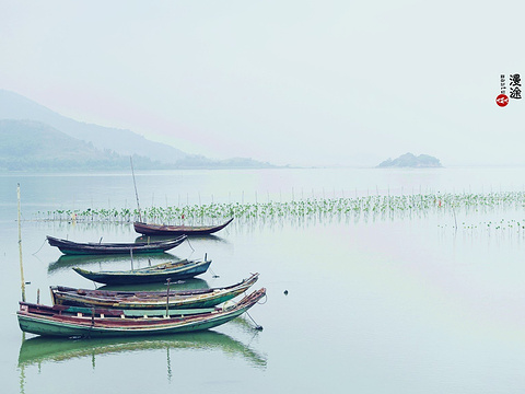 盐洲岛旅游景点图片