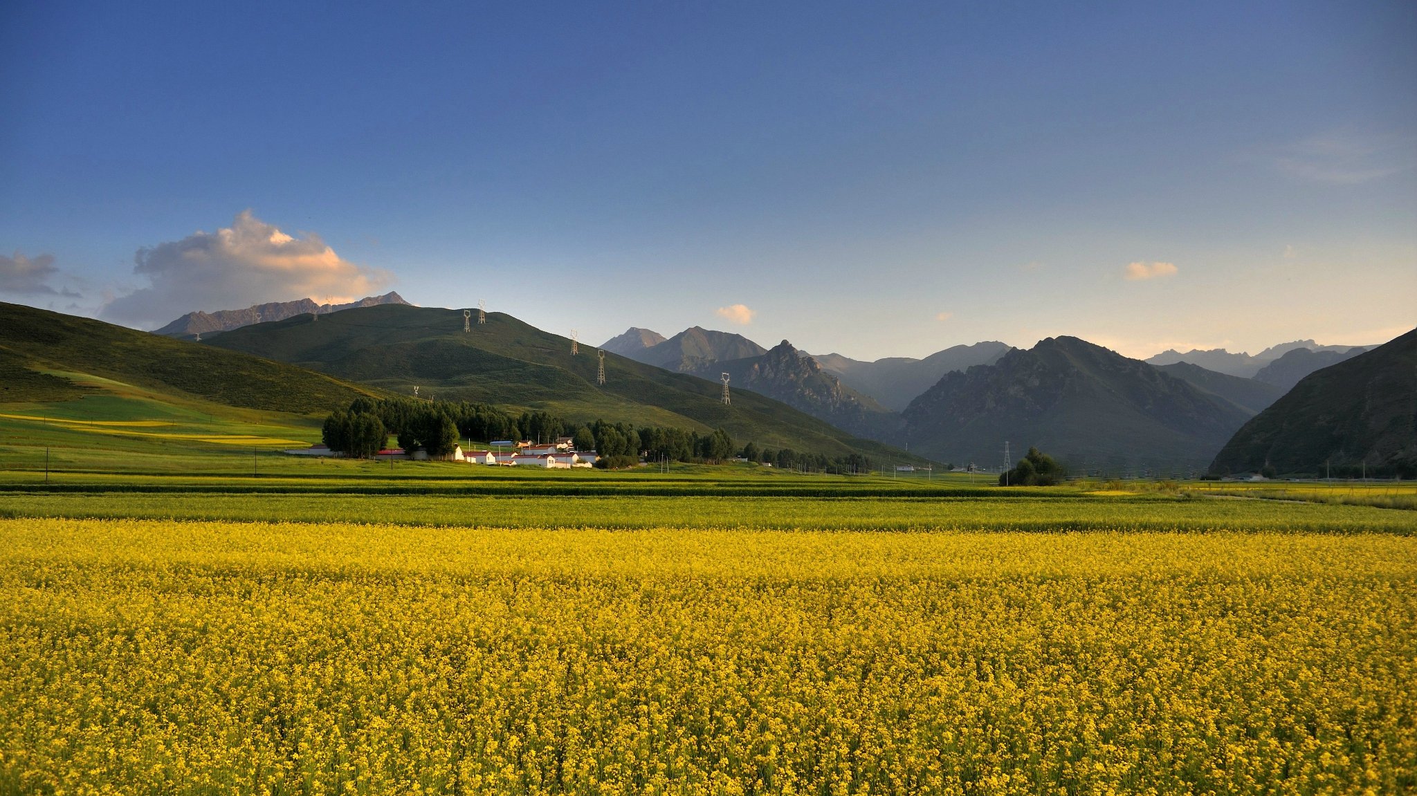 寻色西北——2017门源、甘南的旅行记录