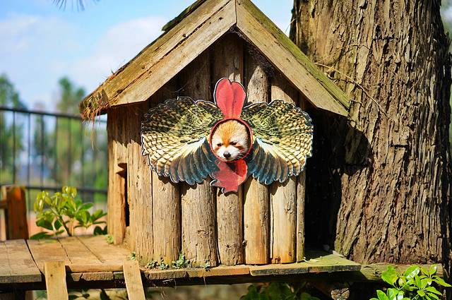 云南野生动物园