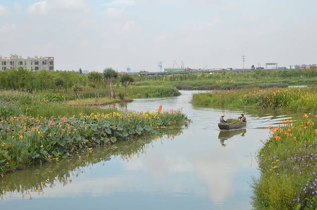 华阳湖湿地公园