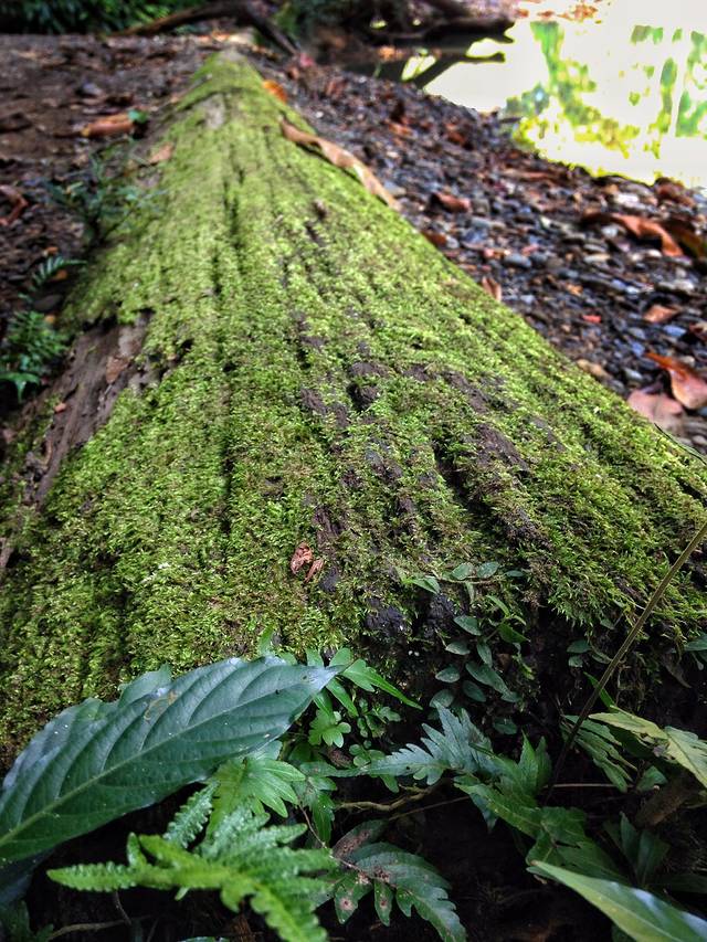 乌鲁淡布隆国家公园