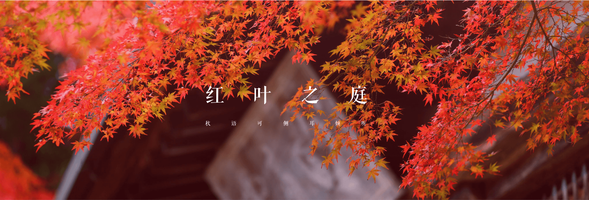 北海道红叶之庭 秋语可侧耳倾听 札幌旅游攻略 游记 去哪儿攻略 北海道红叶之庭 秋语可侧耳倾听 札幌旅游攻略 游记 去哪儿攻略