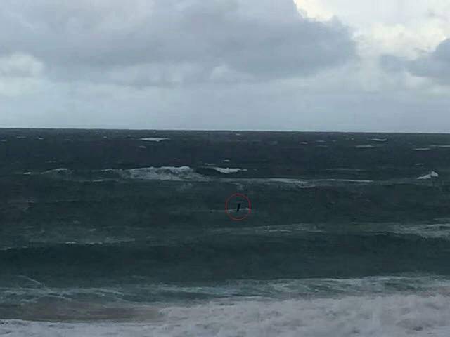 洛根海滩赏鲸平台