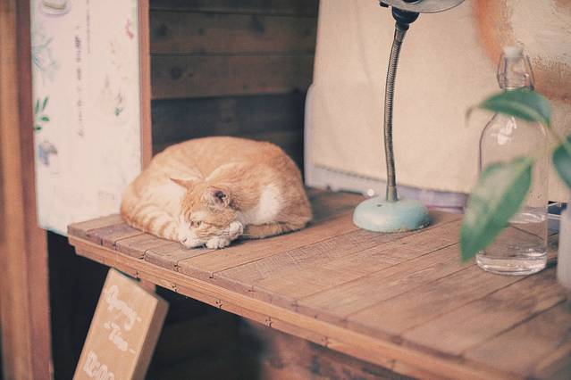 無早cafe(锦江店)