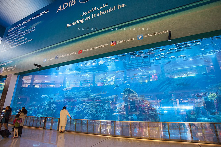 伴着迪拜最舒适适合出行的季节+最给力节扣的