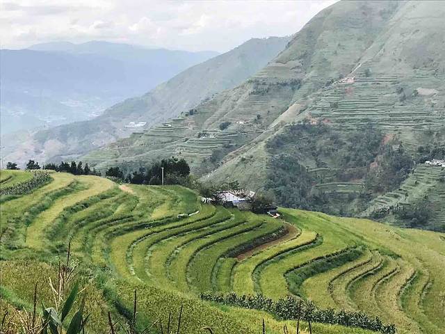 新山梯田