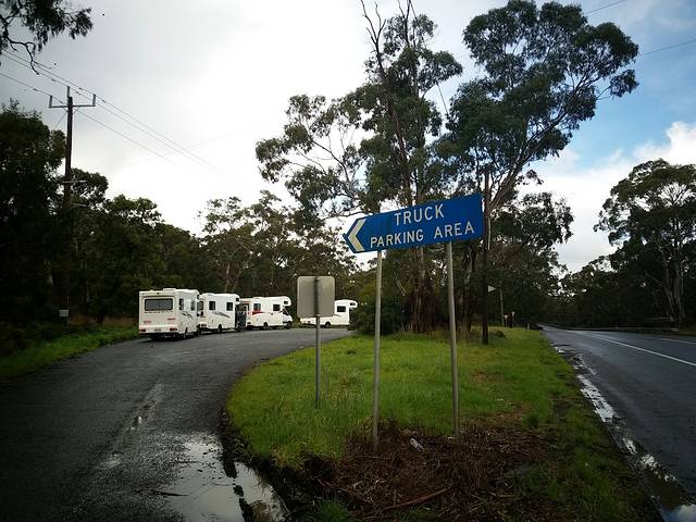 洛根海滩赏鲸平台