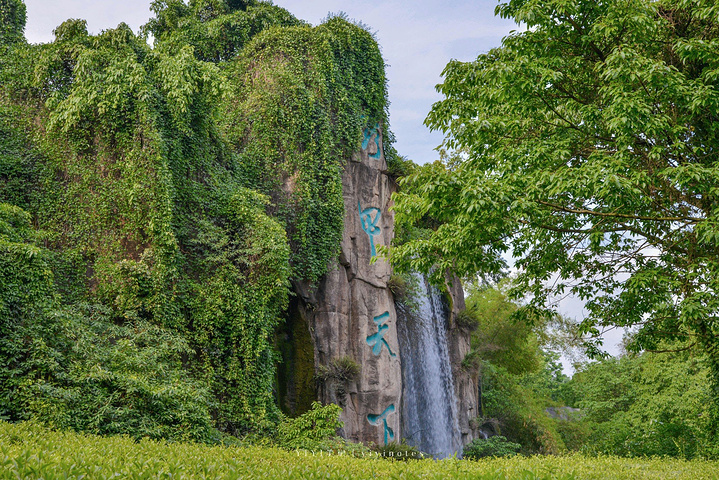 又一次入住峨眉山红珠山宾馆,上次住的5号楼,这次住的是8号楼.