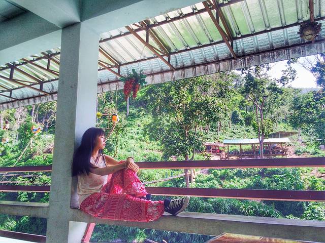 湄登大象训练营