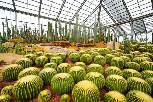 南通洲际绿博园