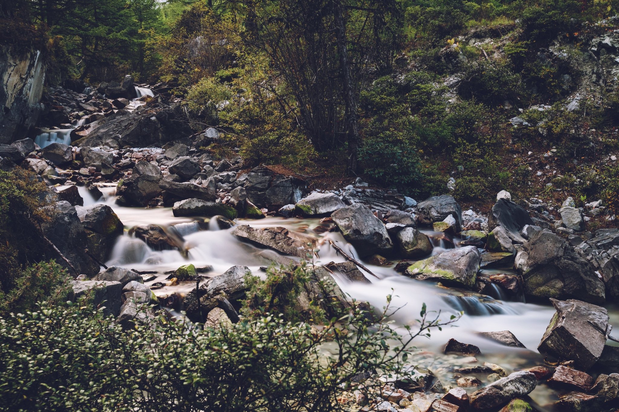 这样的小河流很多,都是雪山上融化的雪而成的