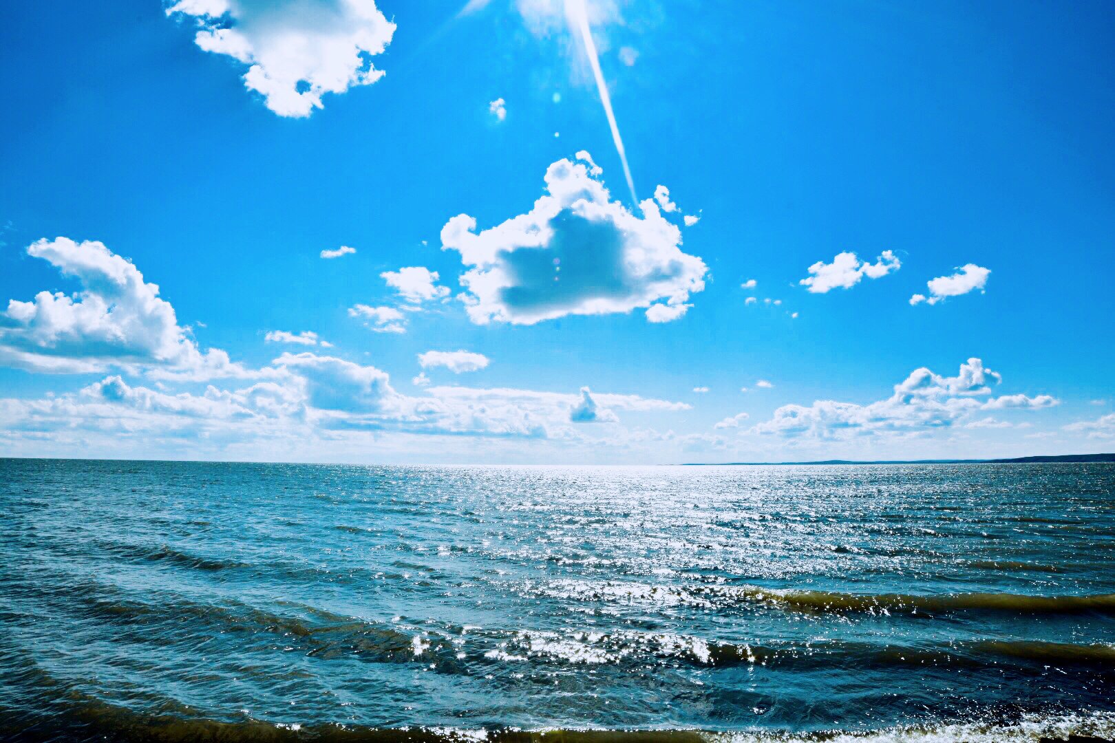 2023呼伦湖游玩攻略,绝对是鸟类天堂,岸上有小贩.【去哪儿攻略】