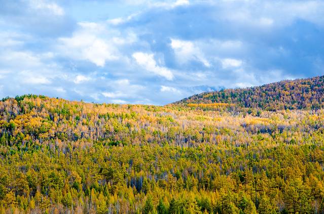 莫尔道嘎国家森林公园