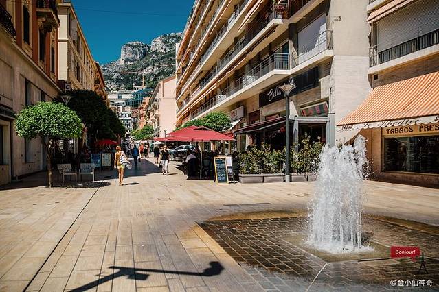 蒙特卡洛赌场及歌剧院