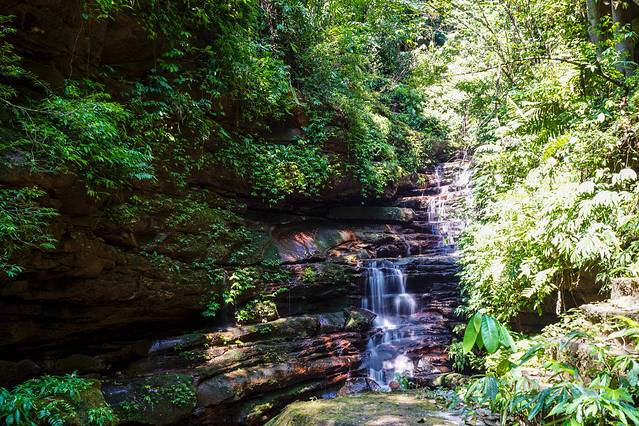 桫椤国家级自然保护区