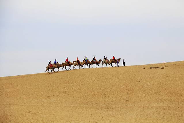 宁夏湿地博物馆