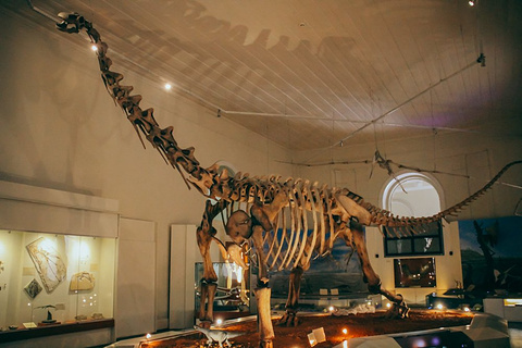 巴西国家历史博物馆旅游景点攻略图