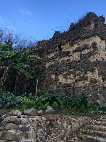 .本重复,所以我们去了对面的百香果采摘园,百香