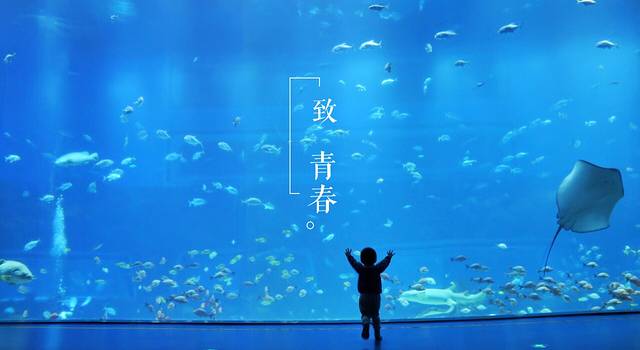 【致青春.南昌】一场情理之中意料之外的亲子