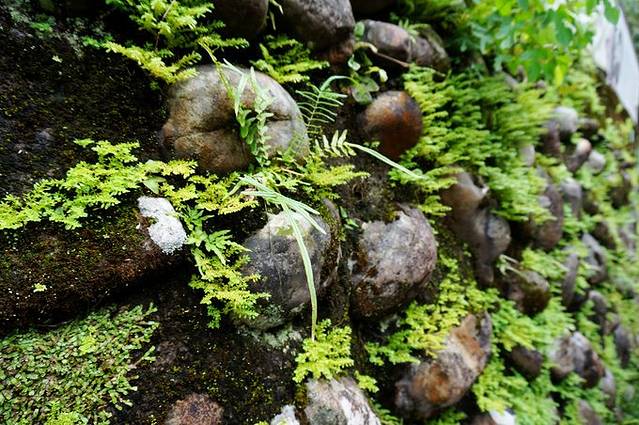 猫空阿义师的大茶壶茶餐厅