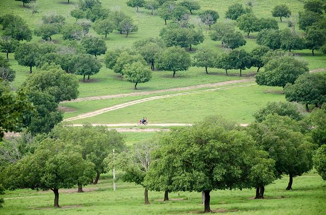 科尔沁国家级自然保护区