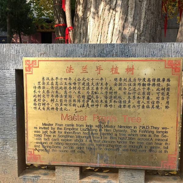 郑州旅游年卡景点景区_2018年郑州旅游收入