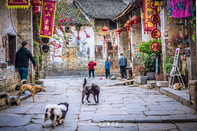 古镇清晨图片