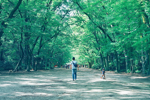 下鸭神社旅游景点攻略图