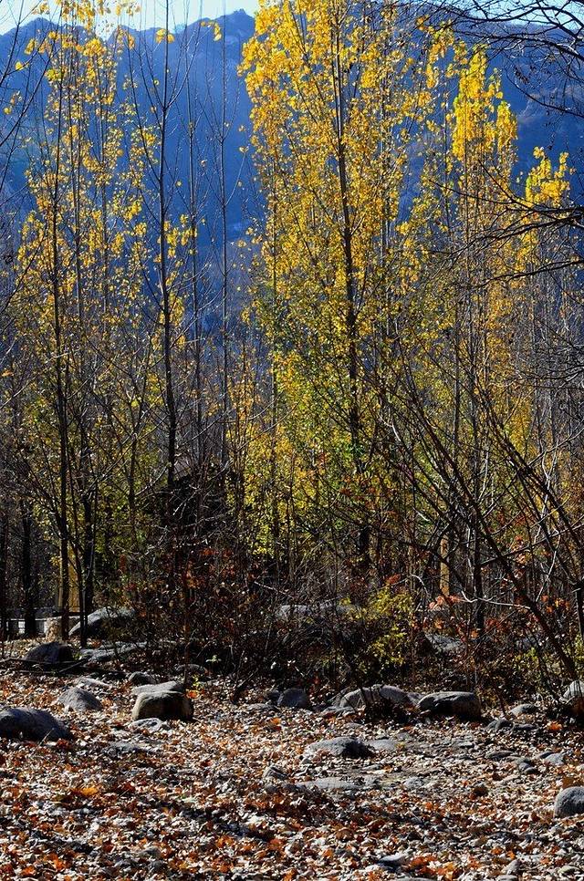 神堂峪自然风景区