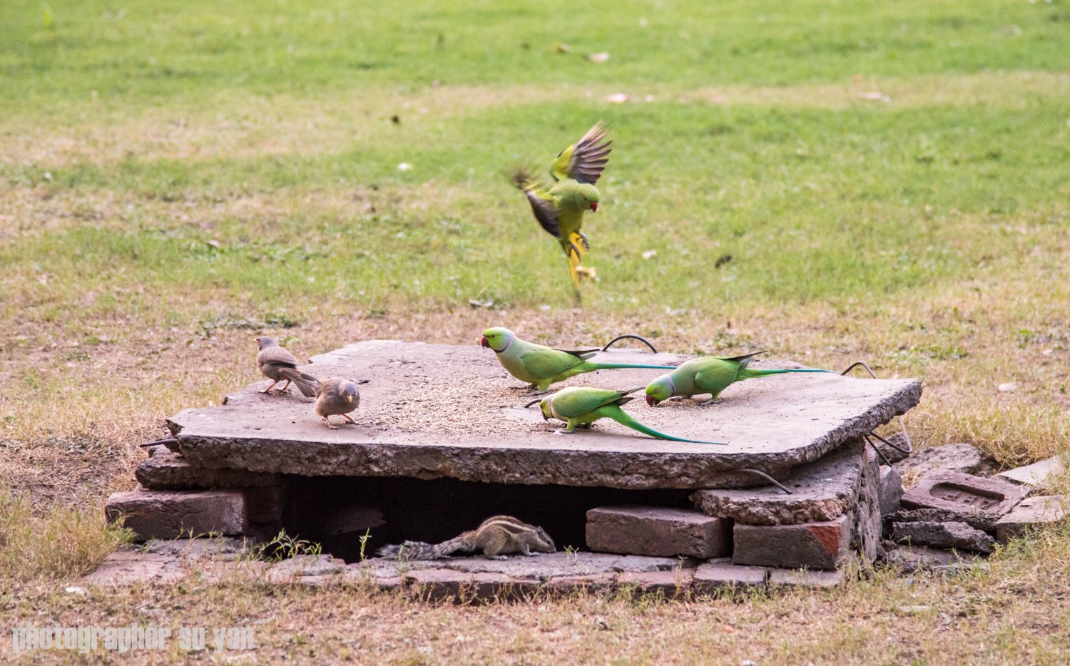 2018德里红堡游玩攻略,.地方,网上有说,到红堡