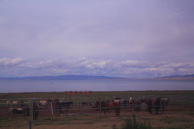 青海湖藏族民俗博物馆
