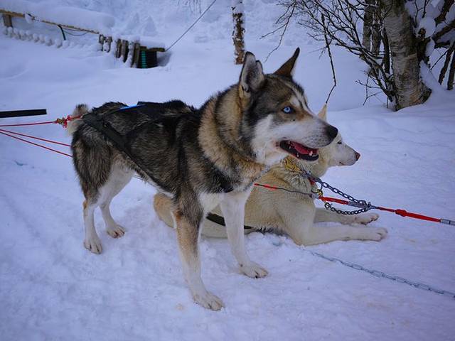 Saariselka Ski Resort