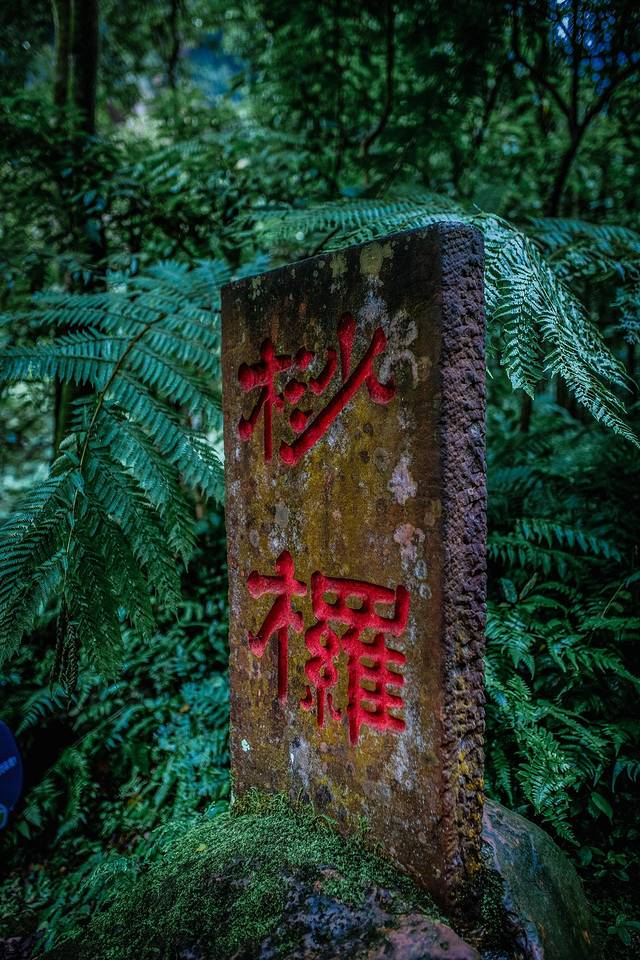 中国株椤纪公园