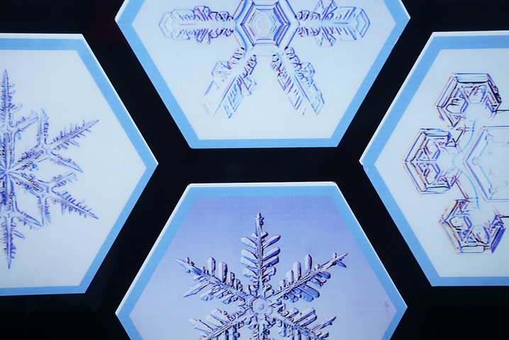 我连雪球都做不好。好看的说不出话。首先我要