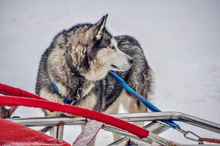 长白山魔界风景区,位于吉林省安图县二道白河