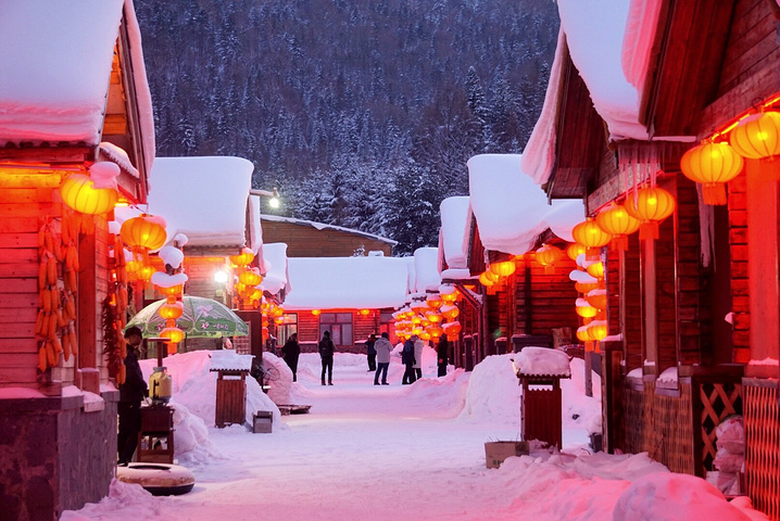 我连雪球都做不好。好看的说不出话。首先我要