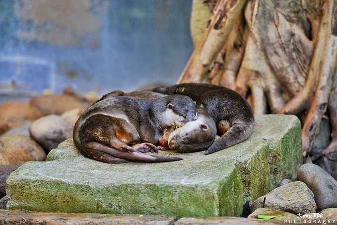 逃离寒冬,我与三亚有个约会(三亚三天两夜吃住