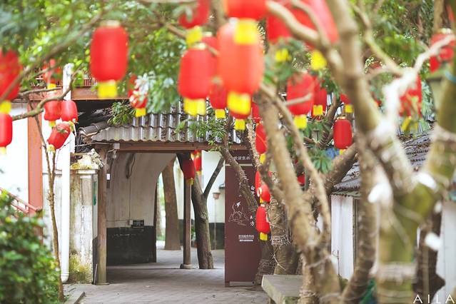 康庆渔家灯火休闲农庄